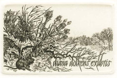 008-Dolkens