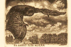 020-Kolar