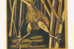 Har-Siekman