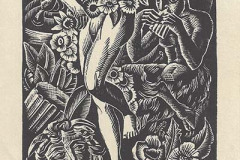 Opus-037