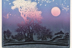 2011.2 - Shen Yanxiang, landschap. Prijs: € 7,50