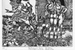 2012.3 - Harry Jürgens, Metamorphose Actaeon. Prijs: € 7,50
