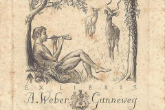 1950-Weber-Gunneweg